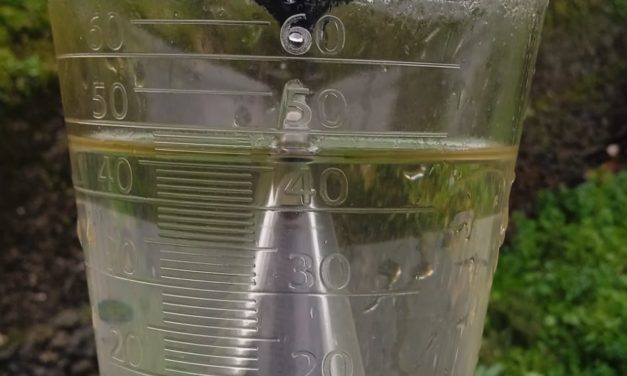 Hemos cerrado la primavera con lluvias en Torrejoncillo