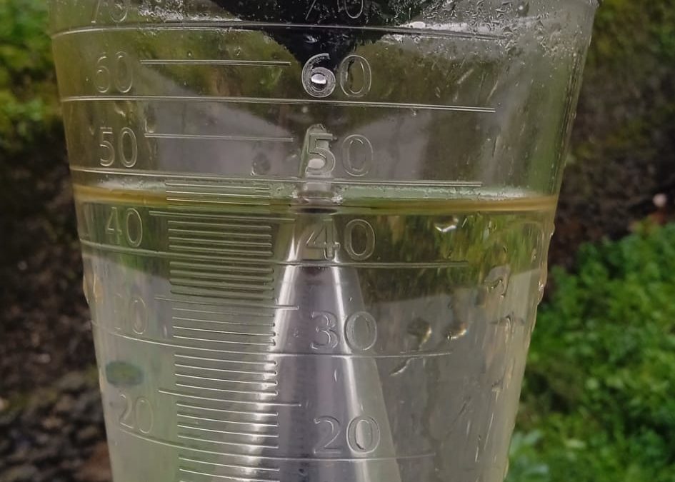 Hemos cerrado la primavera con lluvias en Torrejoncillo