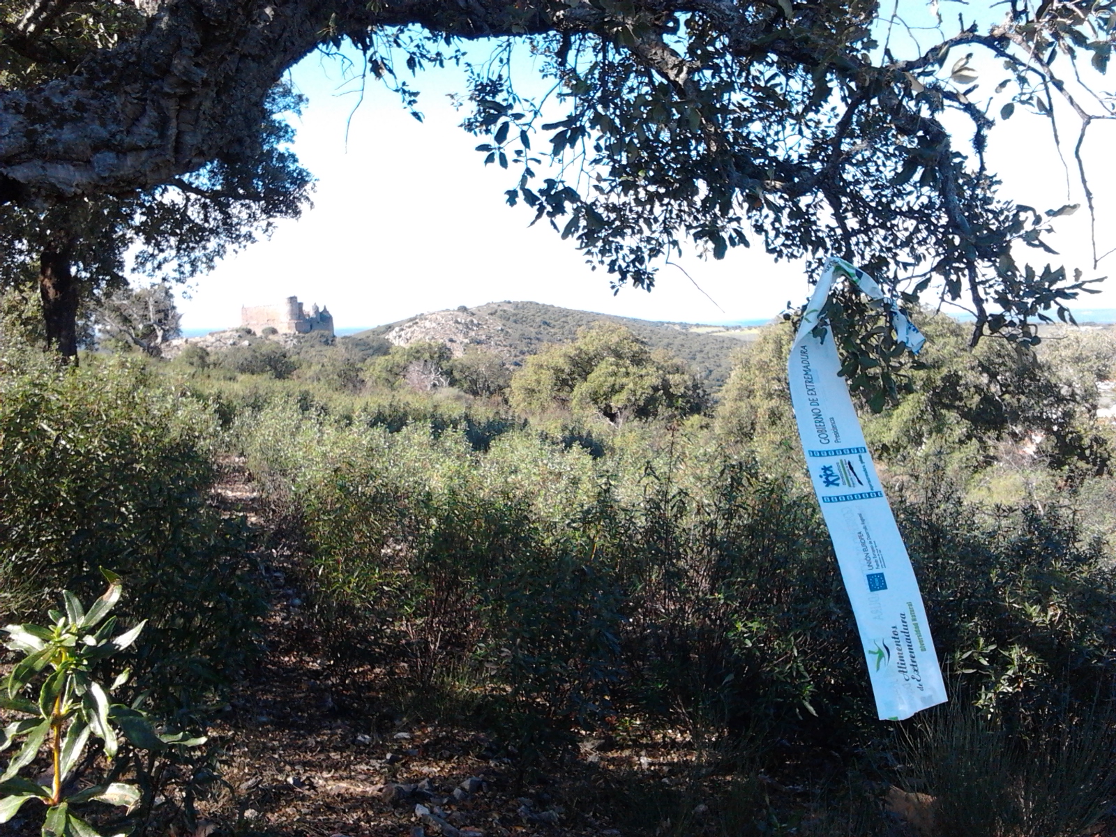 330 participantes en la VIII Subida al Castillo de Portezuelo