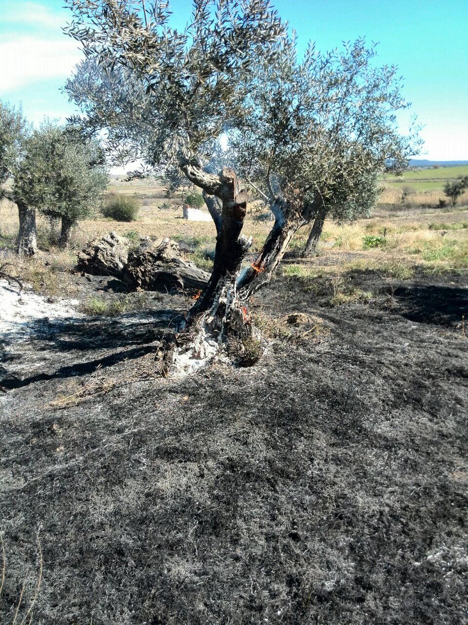 Segundo incendio en menos de veinticuatro horas