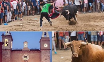 El día 10 finaliza el plazo para votar en el Concurso Fotográfico «Toros Agosto 2017» de Torrejoncillo