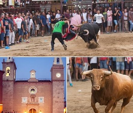 El día 10 finaliza el plazo para votar en el Concurso Fotográfico «Toros Agosto 2017» de Torrejoncillo