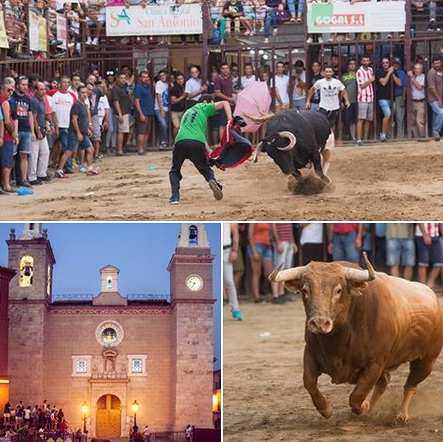 El día 10 finaliza el plazo para votar en el Concurso Fotográfico «Toros Agosto 2017» de Torrejoncillo