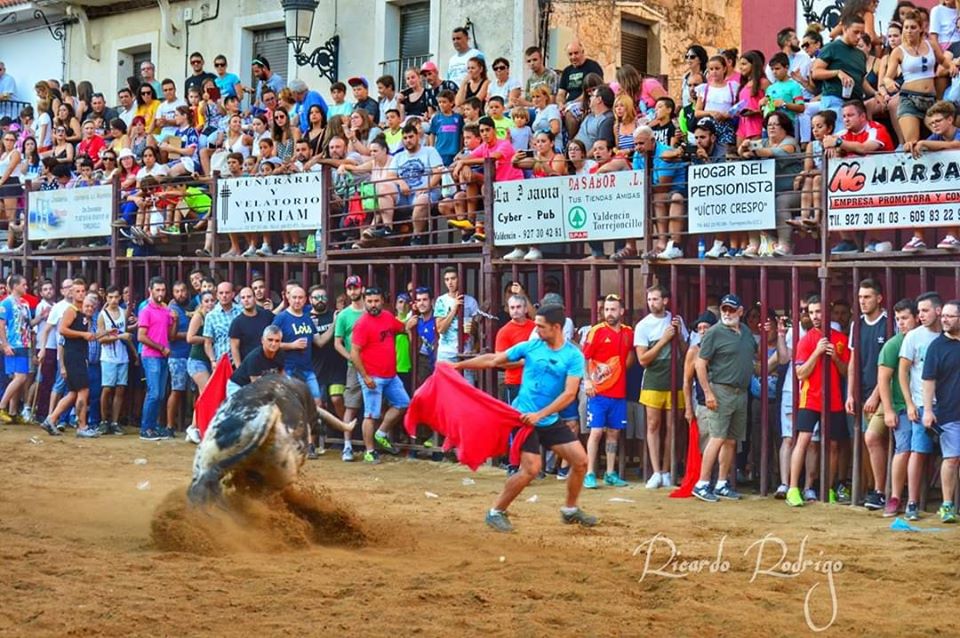 Supresión de los Festejos Taurinos de Torrejoncillo y Valdencín