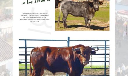 TOROS POR SANTA TERESA EN VALDENCÍN