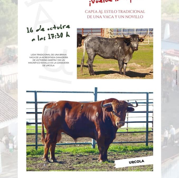 TOROS POR SANTA TERESA EN VALDENCÍN
