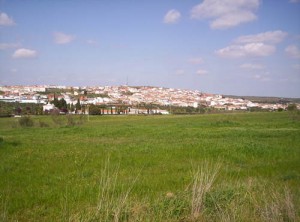 Un torrejoncillano de 83 años, primera víctima que se cobra la ola de calor