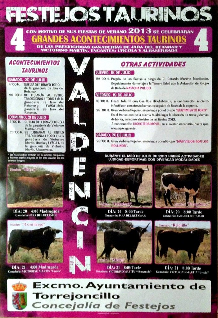 Cartel de las Fiestas de Valdencín 2013 - CEDIDA