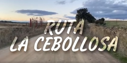 RUTA LA CEBOLLOSA Y DESAYUNO SALUDABLE