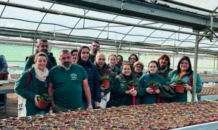 Alumnado de las especialidades de jardinería y forestal reciben formación práctica en el Vivero Provincial
