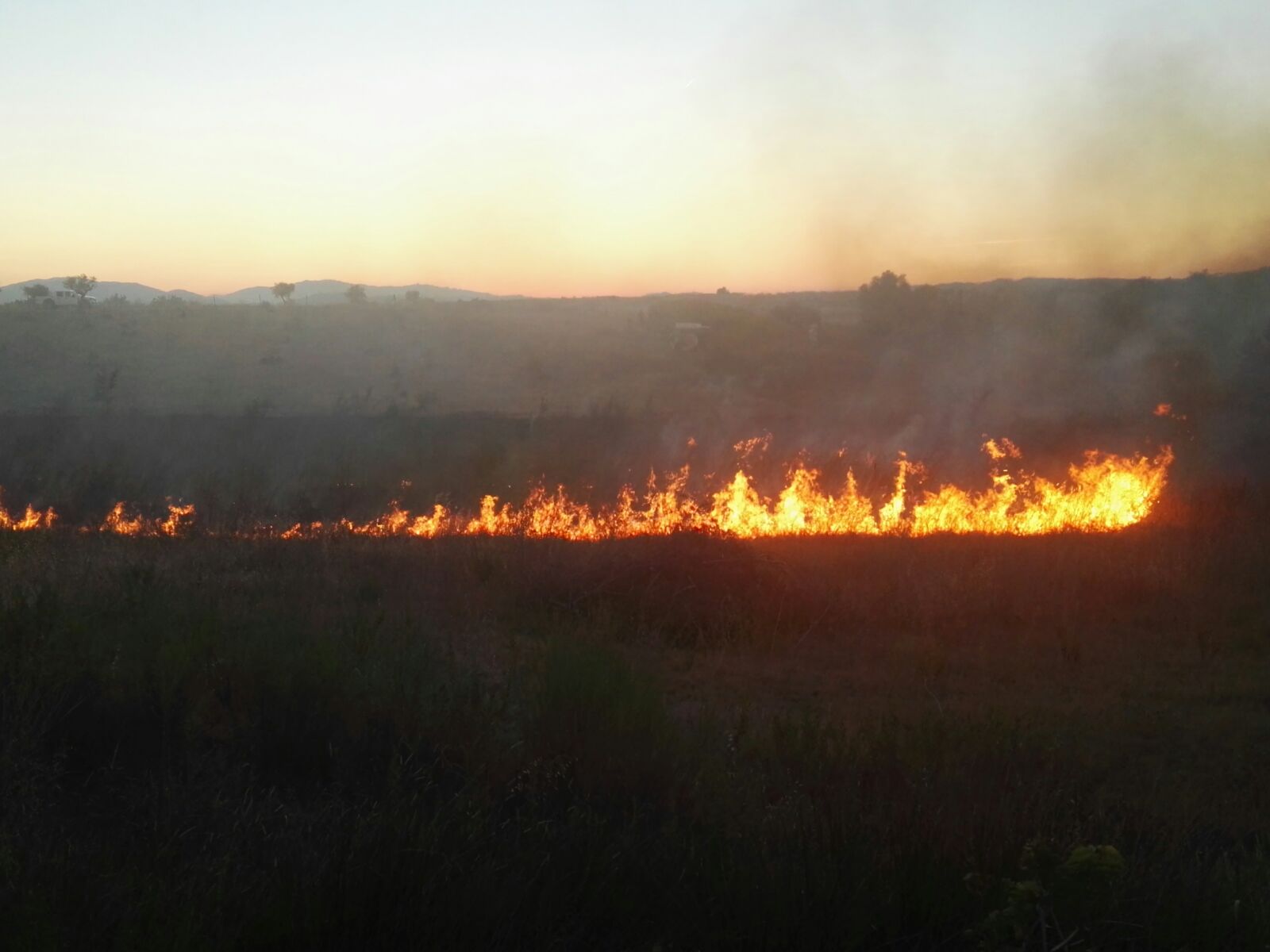 Fuego activo en la Viña de las Amargas en esta mañana de martes