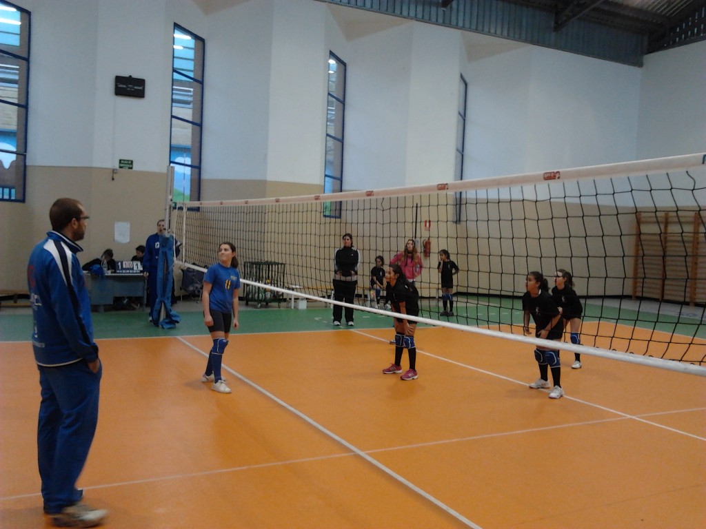 Voley 2