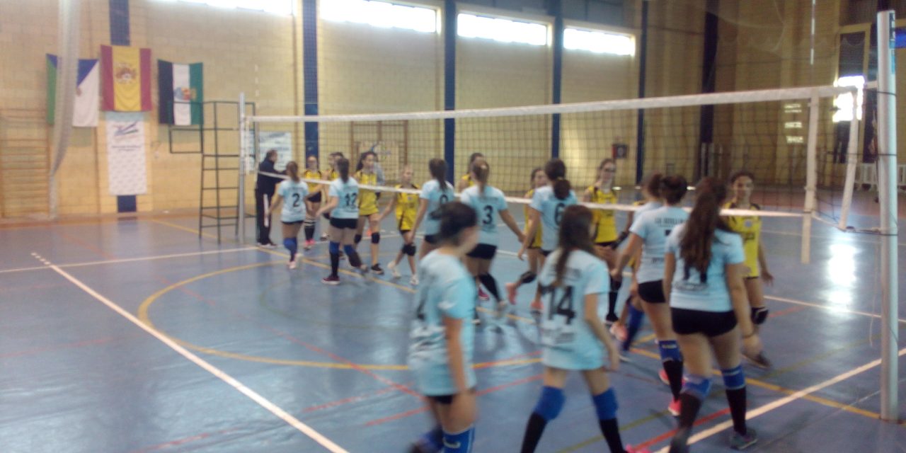 Finde intenso de voleibol en Torrejoncillo y Valdencín