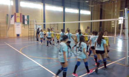 Finde intenso de voleibol en Torrejoncillo y Valdencín