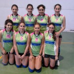 Voley Torrejoncillo