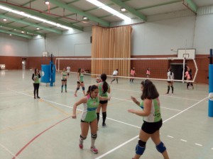 Voley Torrejoncillo