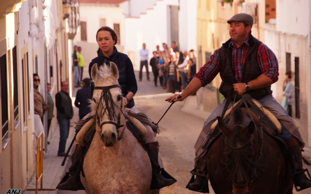 Torrejoncillo y su Romería Chica 2020