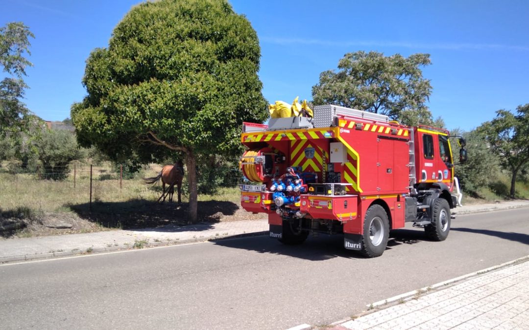 Fuego en Torrejoncillo