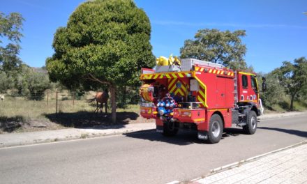 Fuego en Torrejoncillo