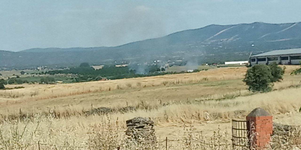 Fuego por la zona de la depuradora municipal