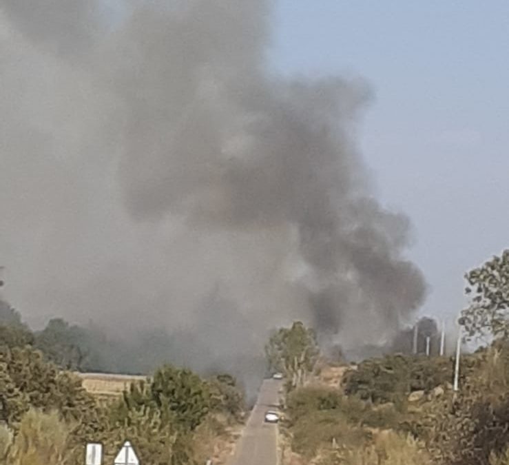 Nuevo fuego en Torrejoncillo