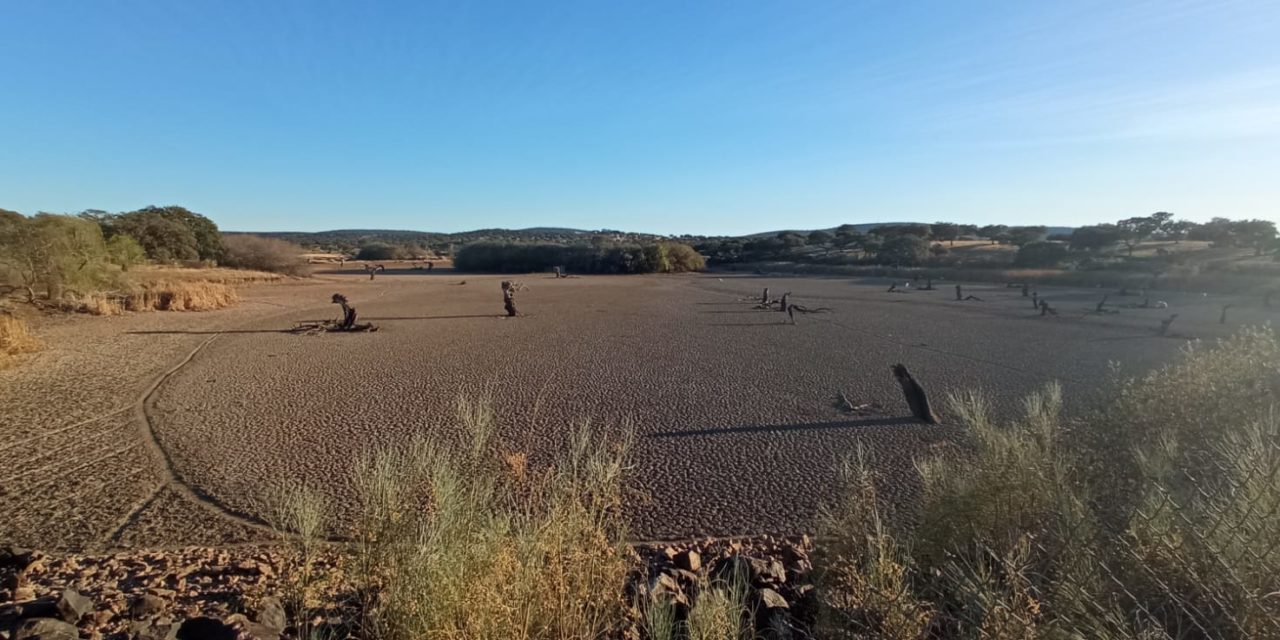 Imagen muy inusual en la Reserva de Aves del Pantano de Portaje