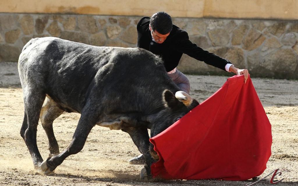 Master Class Toros con Emilio de Justo