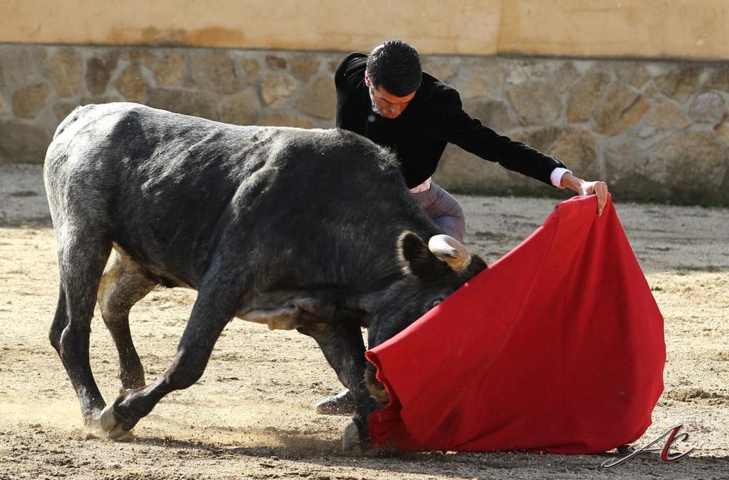 Master Class Toros con Emilio de Justo