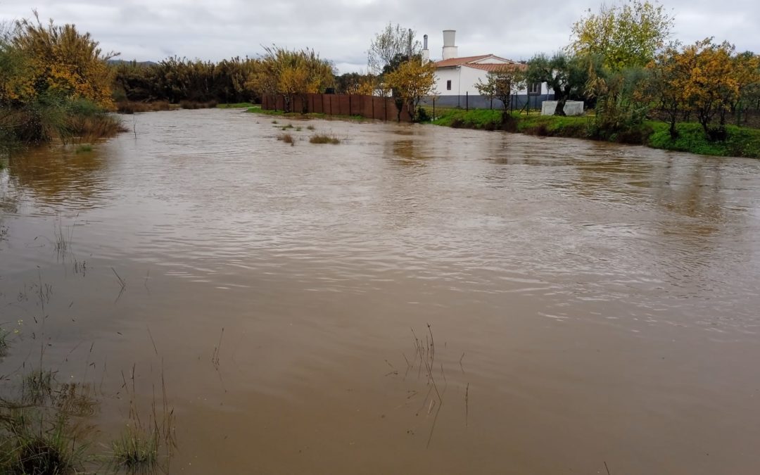 Derrumbes, lluvias y Alerta Amarilla en Torrejoncillo