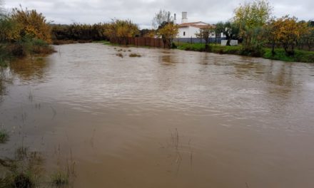 Derrumbes, lluvias y Alerta Amarilla en Torrejoncillo