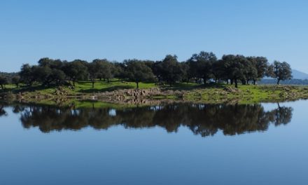 El agua caída esta semana casi llena el pantano (Contiene Galería)