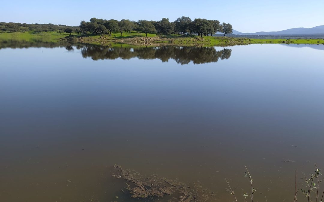 Primer Concurso de Pesa de la Temporada 2023 de la Sociedad de Pescadores Los Encinares