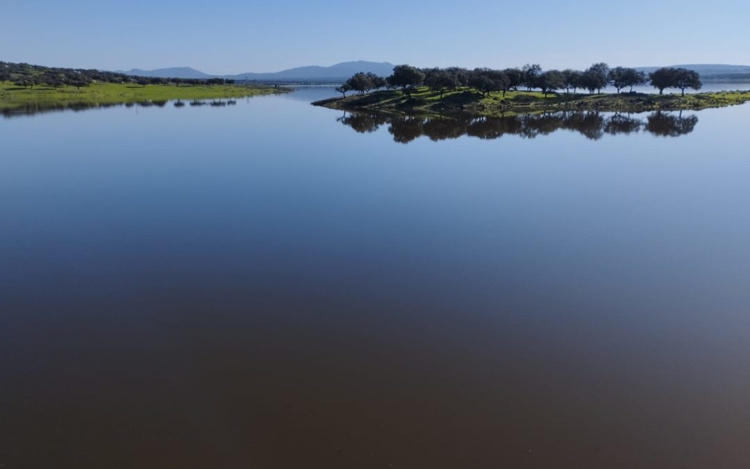 Volvieron las lluvias y el pluviómetro de TTN