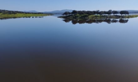 Volvieron las lluvias y el pluviómetro de TTN