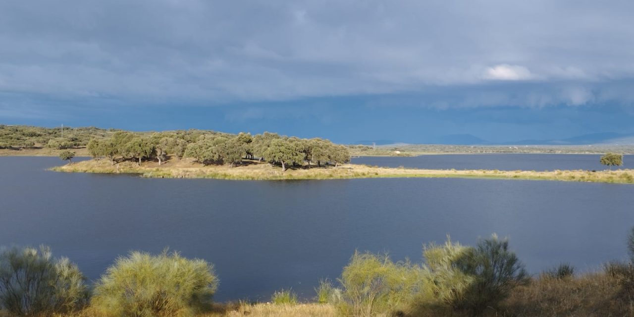 Concurso Infantil de la Sociedad de Pescadores Los Encinares