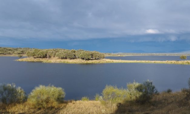 Concurso Infantil de la Sociedad de Pescadores Los Encinares
