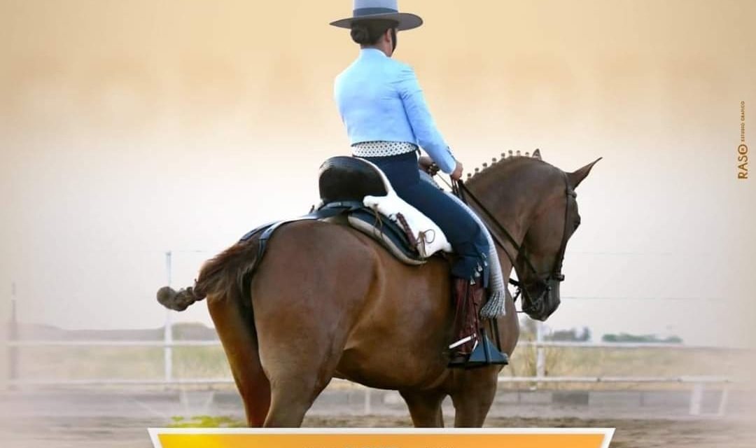 Finales de la Copa Federación de Doma Vaquera en Torrejoncillo