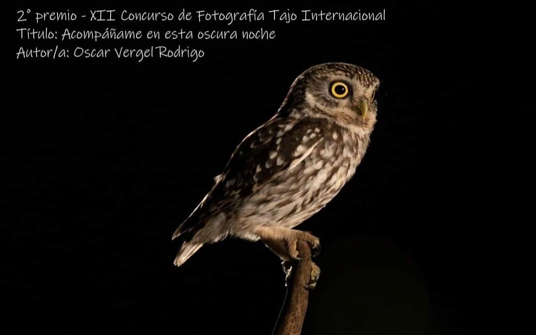 Segundo Premio CI Tajo Internacional