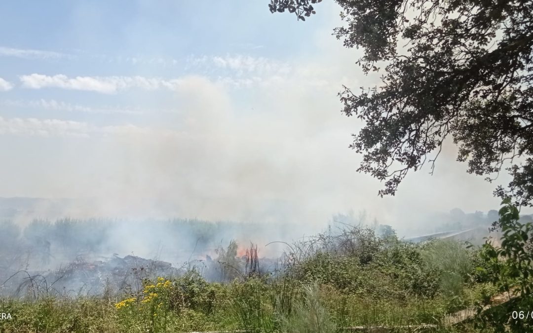Incendio cerca de Valdecin
