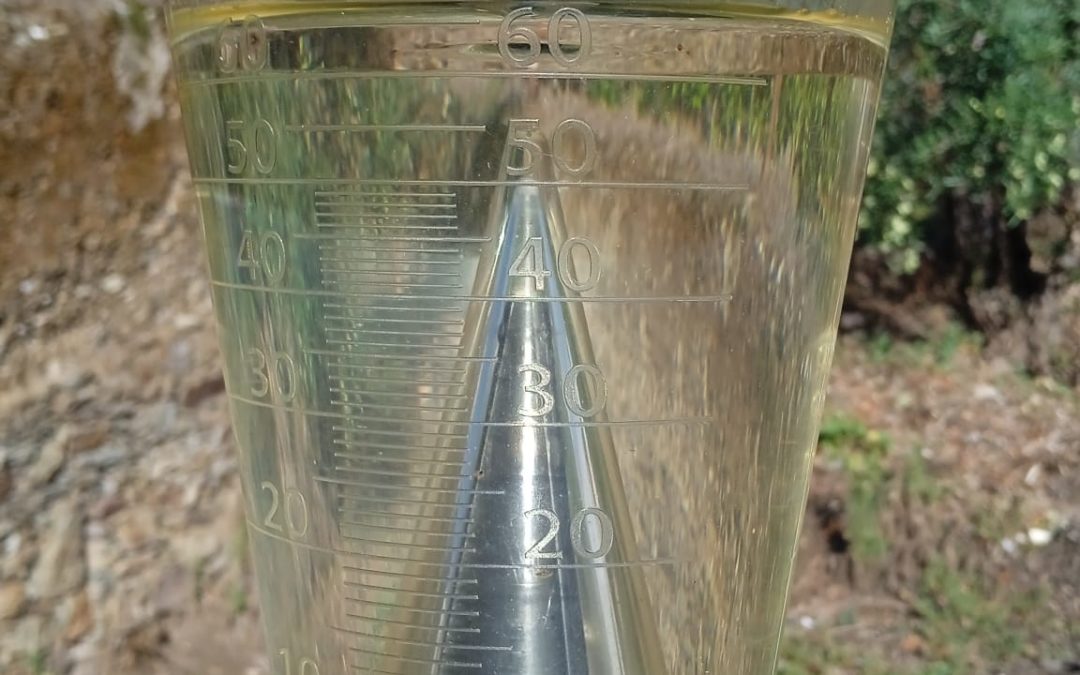 La Borrasca “Aline” nos templa de agua