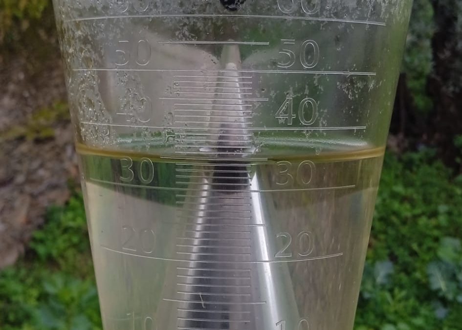 Lluvia veraniega con tormenta eléctrica