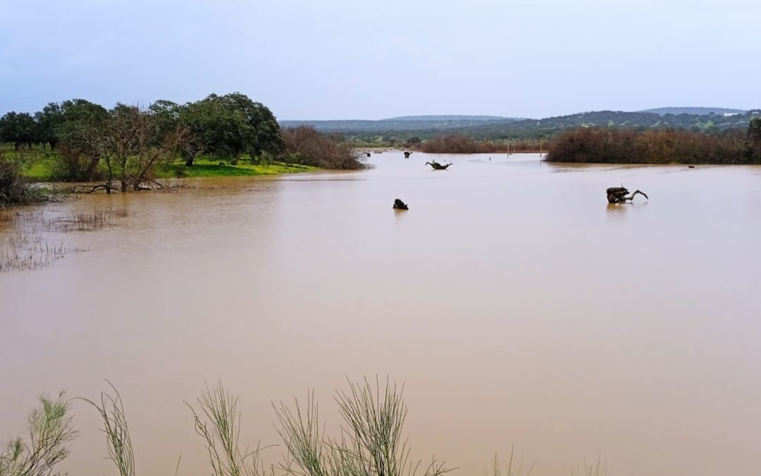 La Ribera de Fresnedosa también supera su cauce habitual en estos momentos