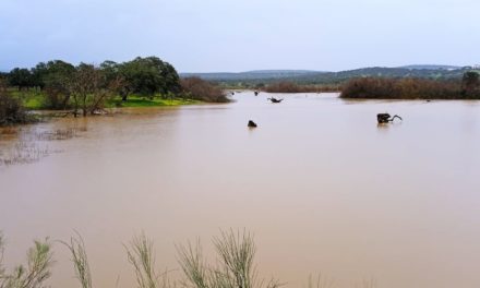 La Ribera de Fresnedosa también supera su cauce habitual en estos momentos