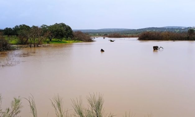 La Ribera de Fresnedosa también supera su cauce habitual en estos momentos
