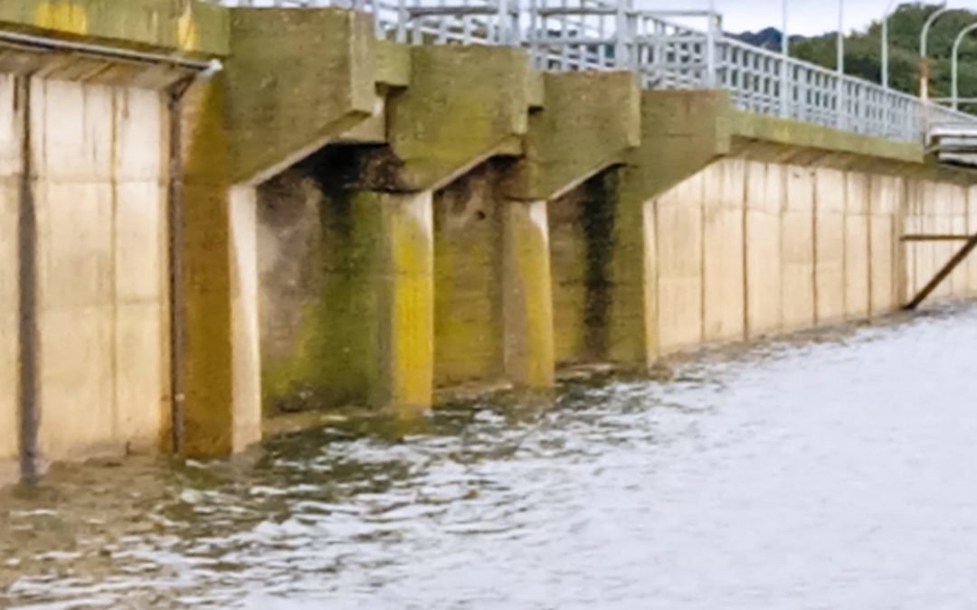 El agua sobrepasa el límite de la Presa de Portaje