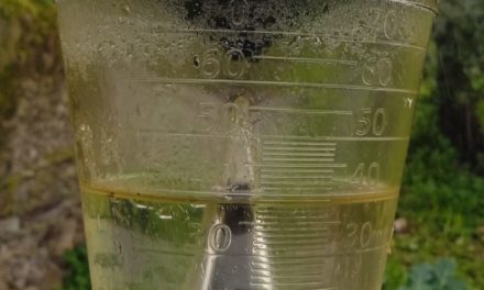 Enero lluvioso pantano hermoso