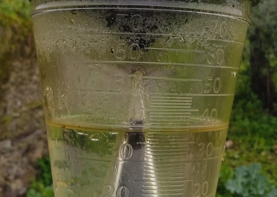 Enero lluvioso pantano hermoso