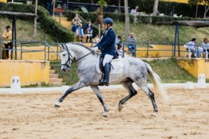 Lujo de Gredos, Cacique de Gredos y Pedro Emilio un equipo perfecto