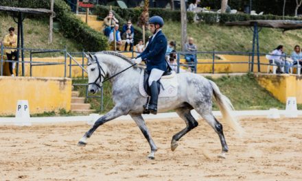 Lujo de Gredos, Cacique de Gredos y Pedro Emilio un equipo perfecto