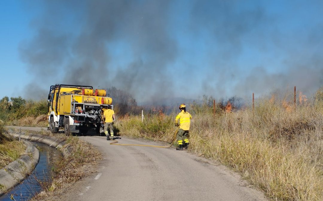 Fuego en la Viña de las Jamargas